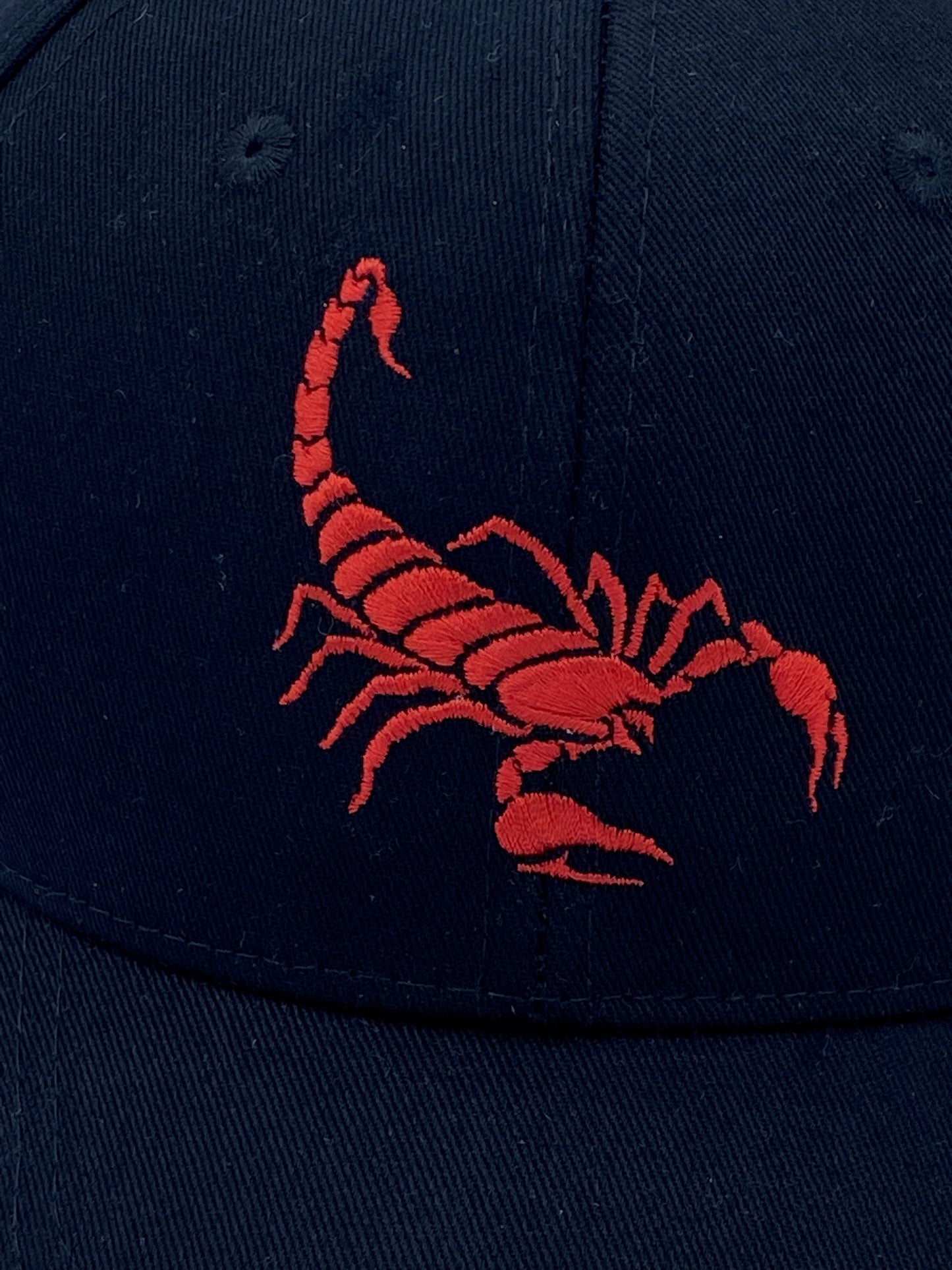 Classic Black Scorpion Cap