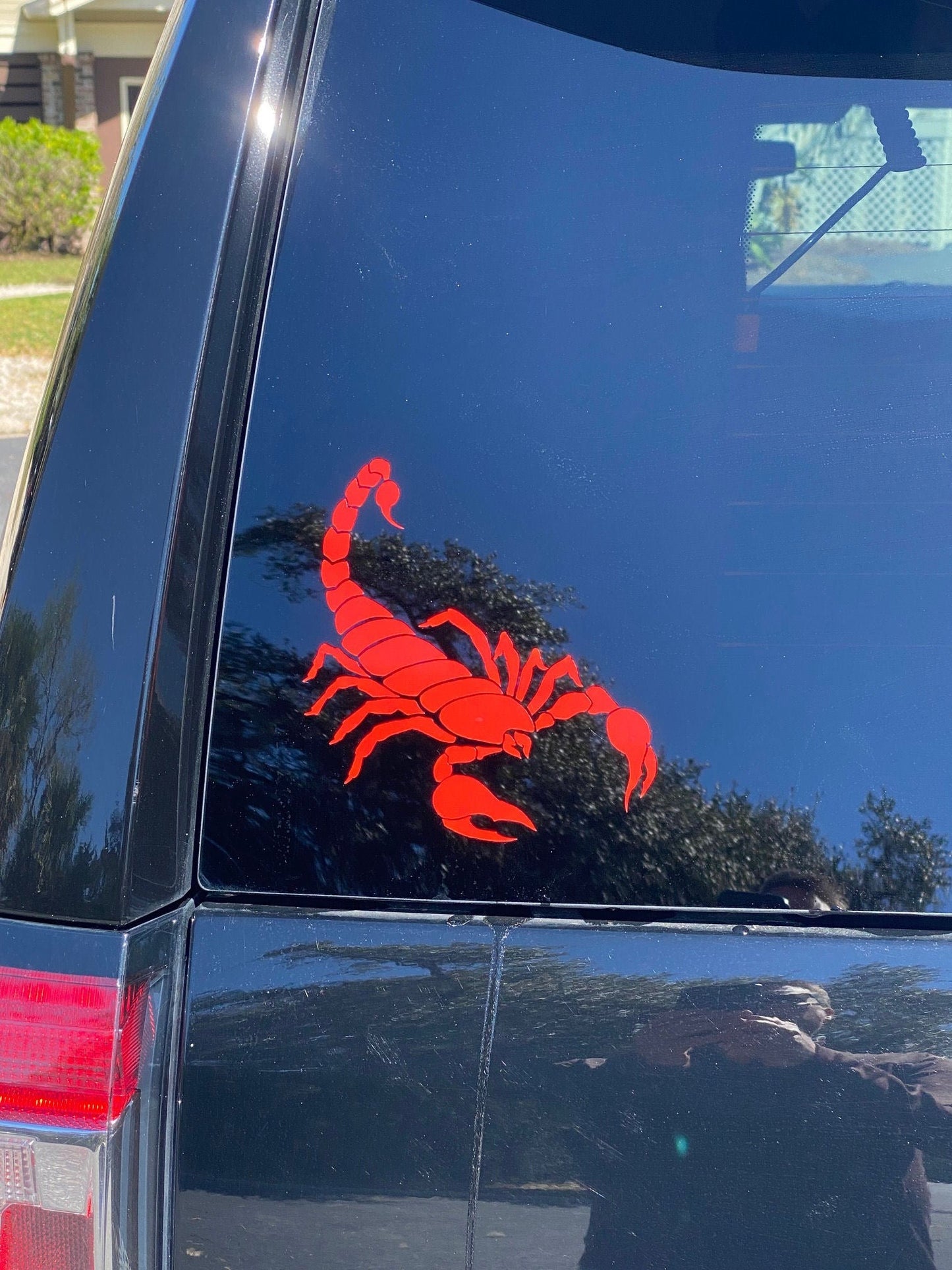 Vinyl Scorpion Sticker